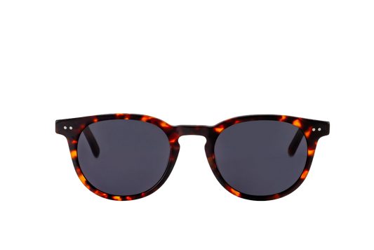 Clarke Sunglasses Readers (Grey) Front View