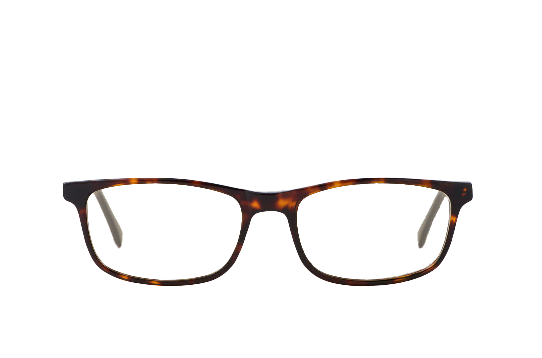 Tortoise Shell Computer Glasses