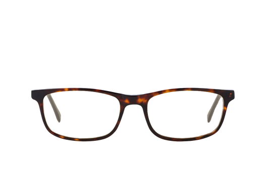 Tortoise Shell Computer Glasses Front View